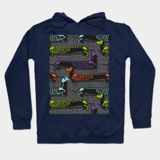 Spooktacular long dachshunds skeleton // dark grey background multicoloured dog bones Hoodie